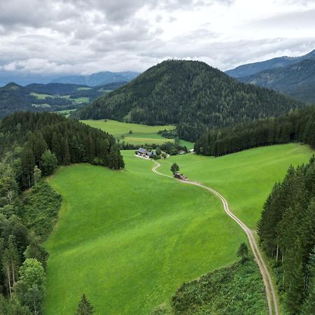 Ferienstadl - Hammerau 伊布斯河畔的戈斯特林 外观 照片